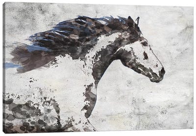 Brown Blue Majestic Horse  Canvas Art Print - Irena Orlov