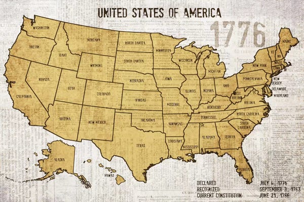 Large Map Art - Canvas Prints: Map Of USA by Irena Orlov