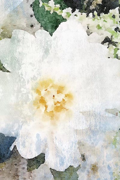 Cream And White Flower by Irena Orlov framed wall art