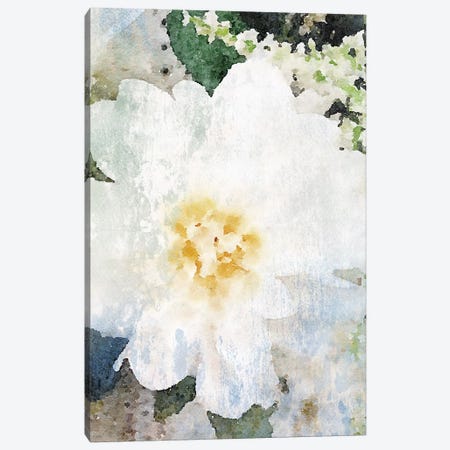 Cream And White Flower Canvas Print #ORL334} by Irena Orlov Art Print