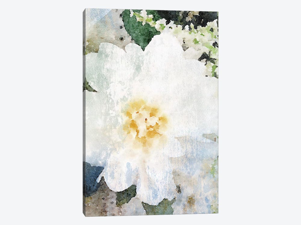 Cream And White Flower by Irena Orlov 1-piece Canvas Artwork