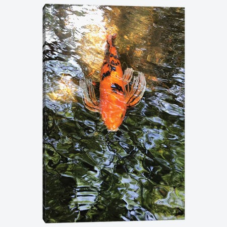 Fancy Goldfish I Canvas Print #ORL341} by Irena Orlov Canvas Print