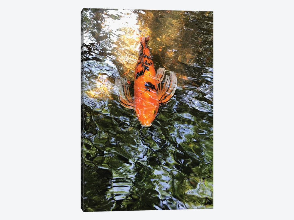 Fancy Goldfish I by Irena Orlov 1-piece Canvas Art