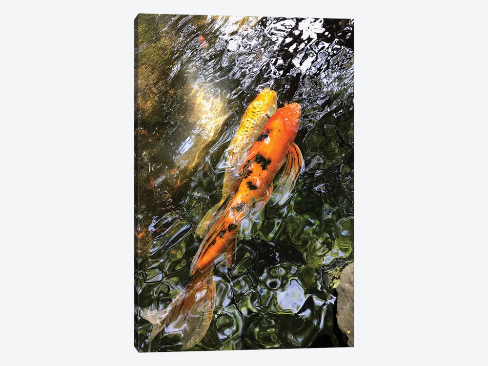 Fancy Goldfish II by Irena Orlov 1-piece Art Print