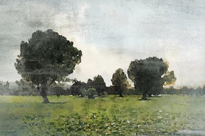 Forest Noon I by Irena Orlov framed wall art