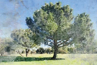 Forest Noon III by Irena Orlov framed wall art