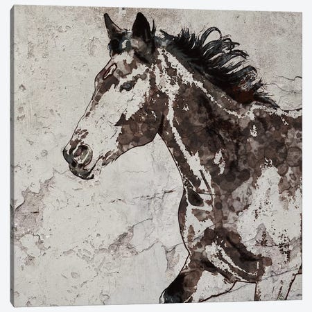 Galloping Horse III Canvas Print #ORL354} by Irena Orlov Canvas Print