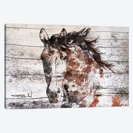 Gorgeous Bay Horse Canvas Print #ORL360} by Irena Orlov Canvas Art Print