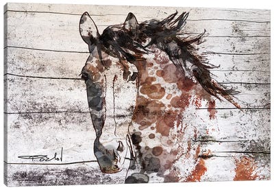 Gorgeous Bay Horse Canvas Art Print - Farm Animal Art
