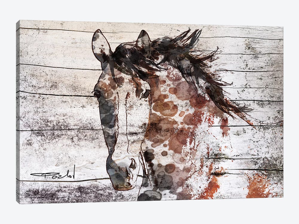 Gorgeous Bay Horse by Irena Orlov 1-piece Canvas Print