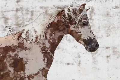 Gorgeous Brown And White Stallion by Irena Orlov framed wall art