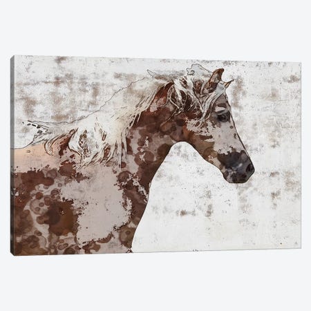 Gorgeous Brown And White Stallion Canvas Print #ORL361} by Irena Orlov Art Print