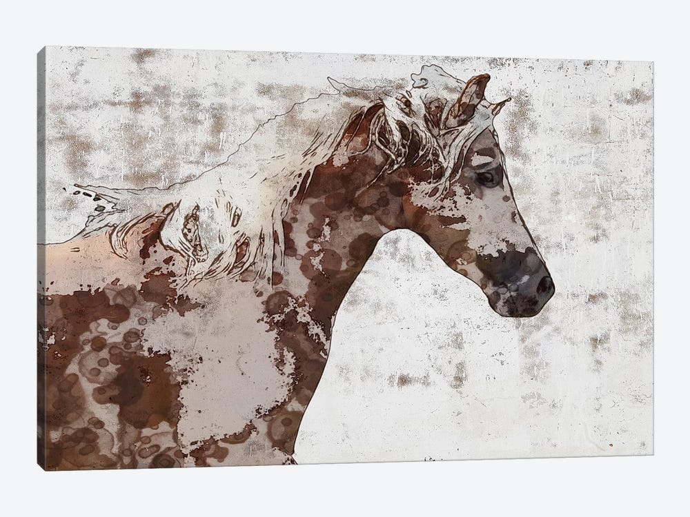 Gorgeous Brown And White Stallion by Irena Orlov 1-piece Canvas Artwork