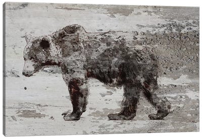 Grizzly Bear Walking Canvas Art Print - Rustic Winter