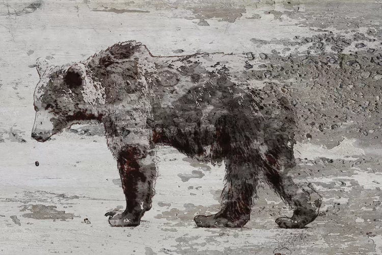 Grizzly Bear Walking by Irena Orlov wall art