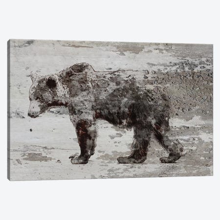 Grizzly Bear Walking Canvas Print #ORL364} by Irena Orlov Canvas Art