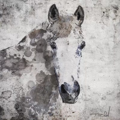 Horse Portrait by Irena Orlov framed wall art