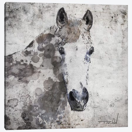 Horse Portrait Canvas Print #ORL366} by Irena Orlov Canvas Artwork