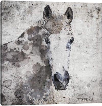 Horse Portrait Canvas Art Print - Irena Orlov