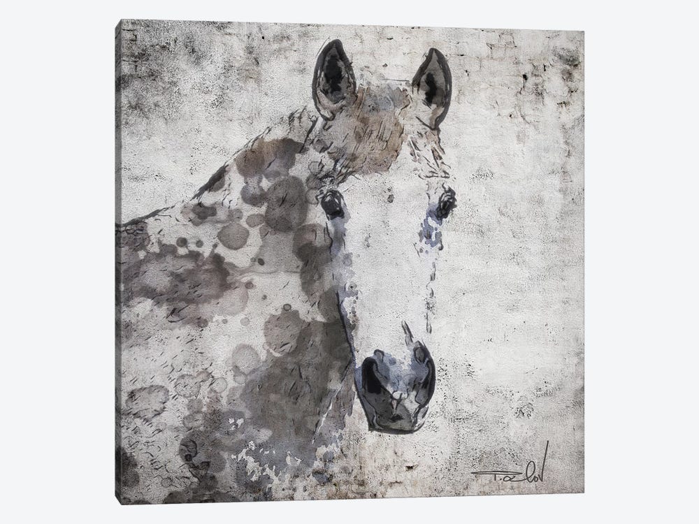 Horse Portrait by Irena Orlov 1-piece Canvas Print