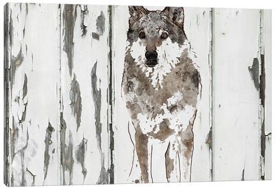 Idaho Wolf Canvas Art Print - Wolf Art
