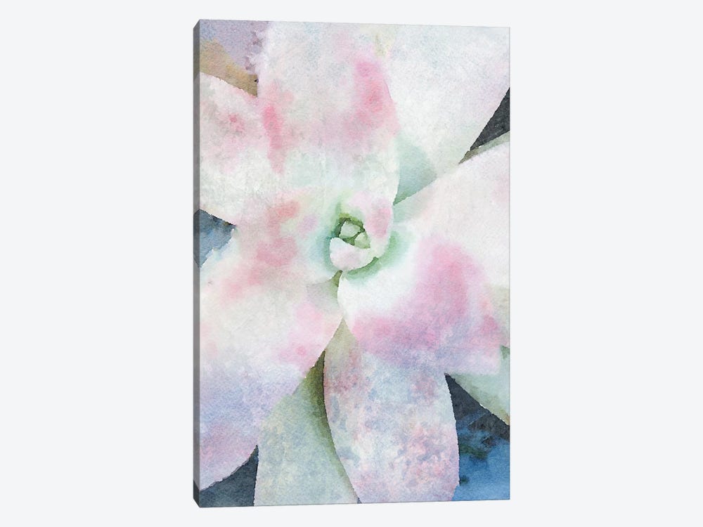 Pink Echeveria. by Irena Orlov 1-piece Art Print