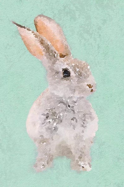 Rabbit by Irena Orlov framed wall art