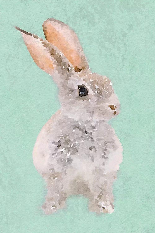 Rabbit by Irena Orlov wall art