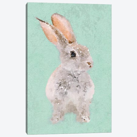 Rabbit Canvas Print #ORL382} by Irena Orlov Canvas Print