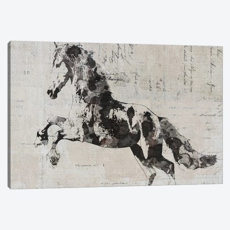 Running Wild Horse II Canvas Print #ORL393} by Irena Orlov Canvas Art