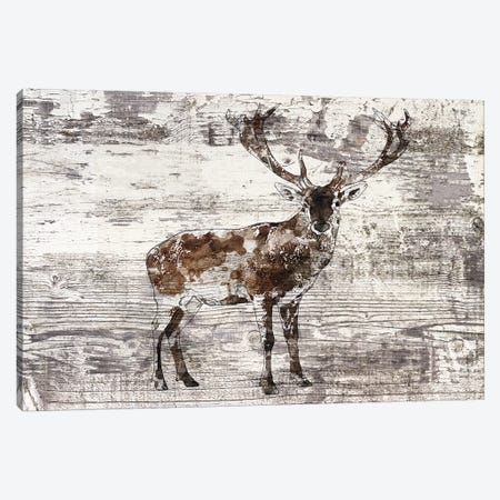 Rustic Deer II Canvas Print #ORL396} by Irena Orlov Art Print