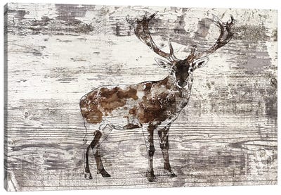 Rustic Deer II Canvas Art Print - Rustic Winter