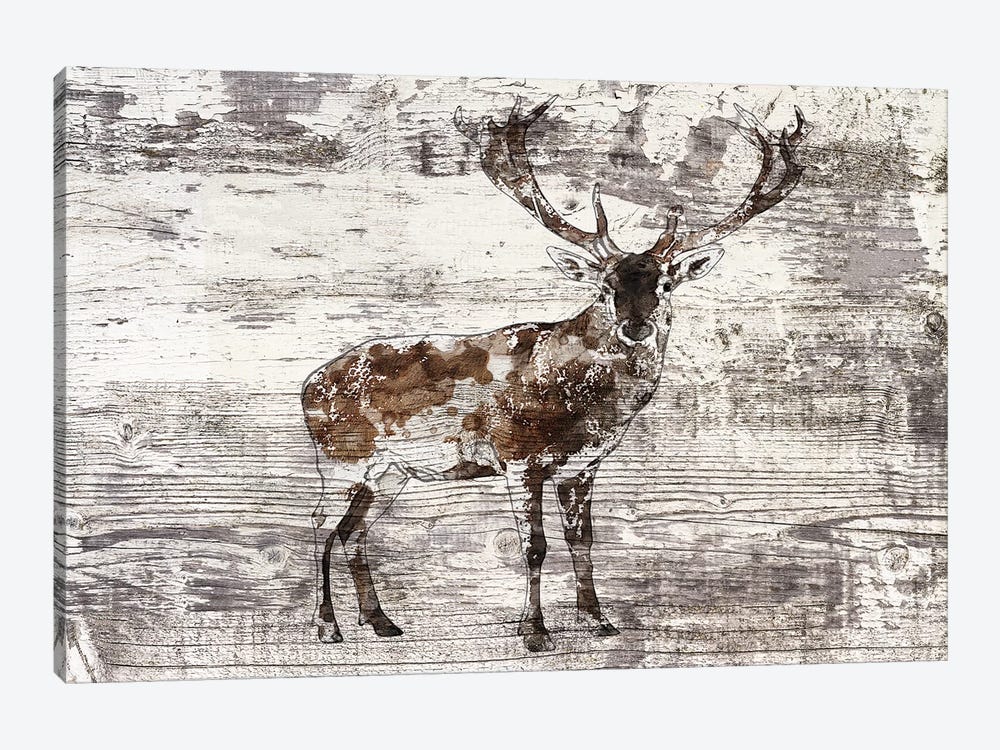 Rustic Deer II by Irena Orlov 1-piece Canvas Wall Art