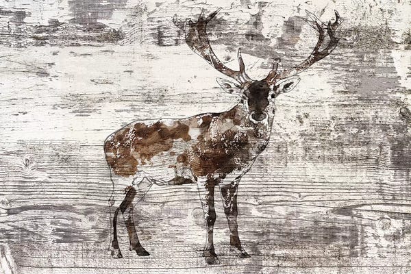 Rustic Winter: Rustic Deer II by Irena Orlov