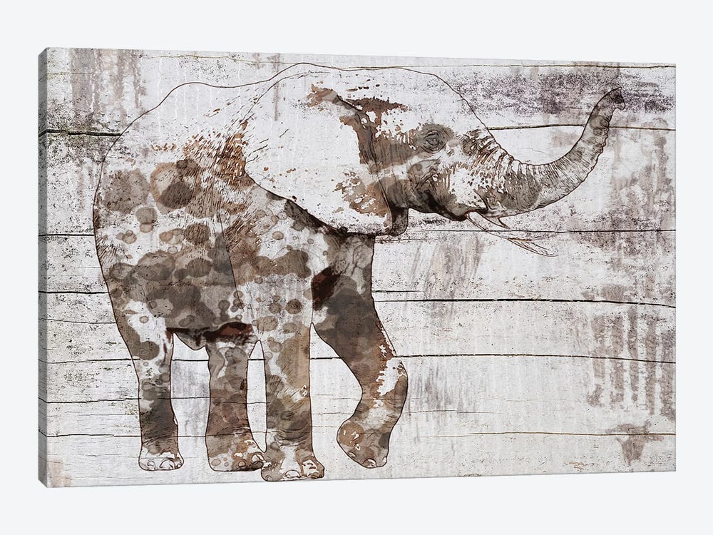 Rustic Elephant III by Irena Orlov 1-piece Canvas Wall Art