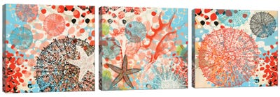 Exotic Sea Life Triptych Canvas Art Print - Starfish Art