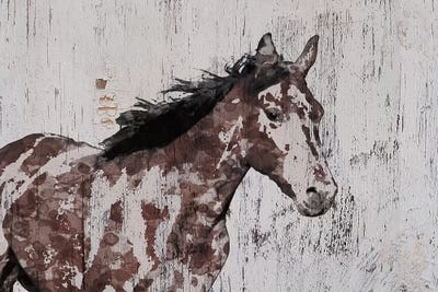 Stallion III by Irena Orlov framed wall art