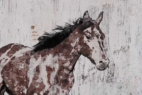 Irena Orlov: Stallion III by Irena Orlov