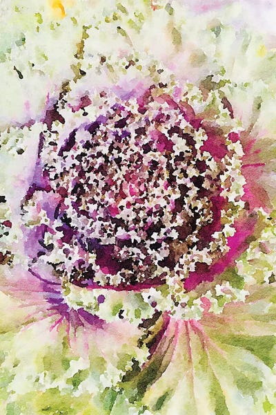 Irena Orlov: Sucullent Garden CXIV by Irena Orlov