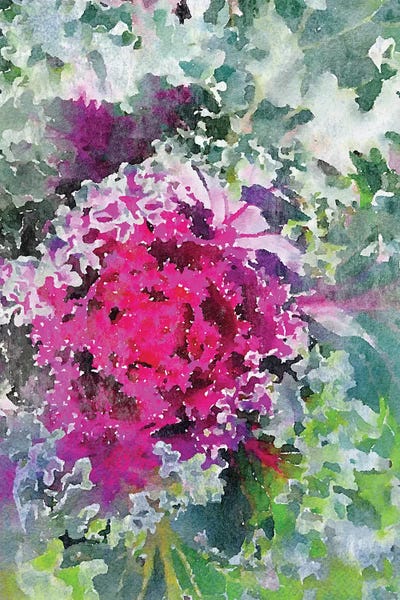 Sucullent Garden CXVI by Irena Orlov canvas print