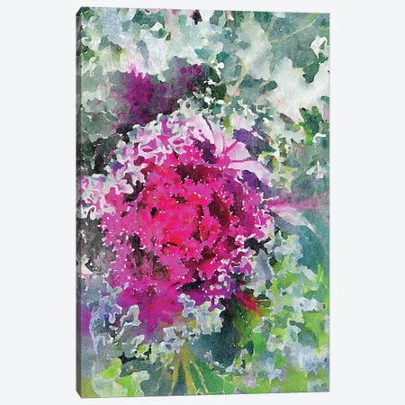 Sucullent Garden CXVI Canvas Print #ORL410} by Irena Orlov Canvas Print