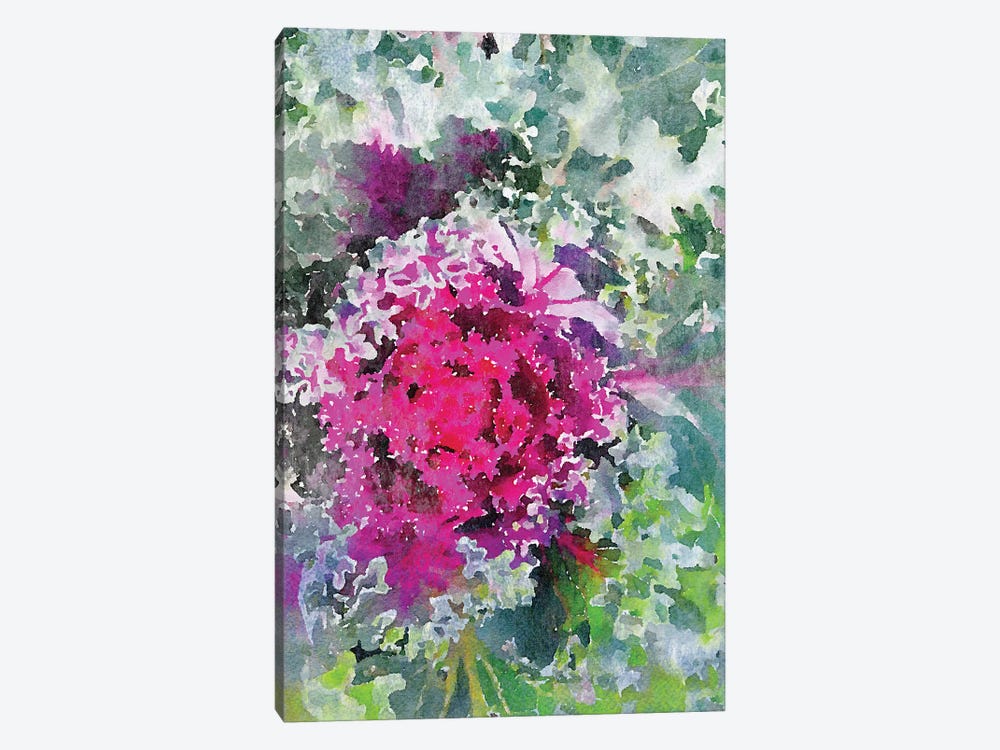 Sucullent Garden CXVI by Irena Orlov 1-piece Canvas Print