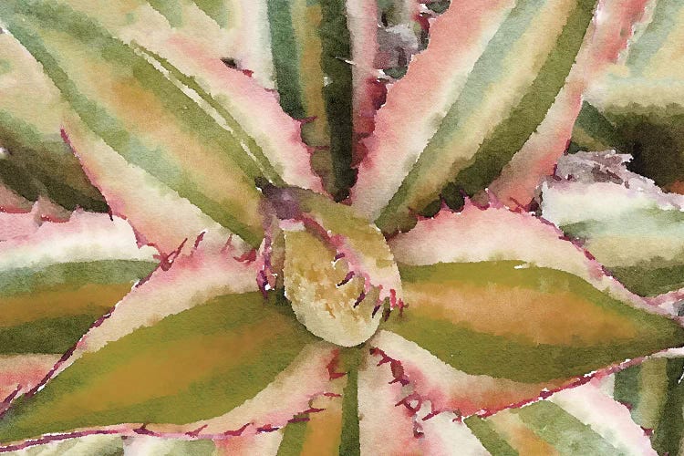 Sucullent Garden CXLVIII by Irena Orlov wall art