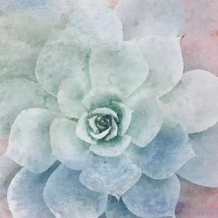 Sucullent Garden LXXXIII by Irena Orlov wall art