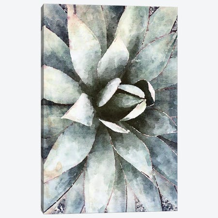 Sunlight Succulent II Canvas Print #ORL419} by Irena Orlov Canvas Print