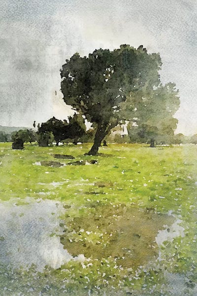 Walk In The Spring III by Irena Orlov canvas print