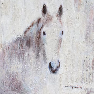 White Bay Horse III by Irena Orlov framed wall art