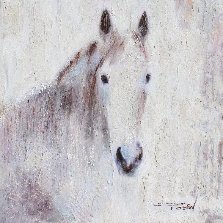 White Bay Horse III