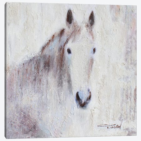 White Bay Horse III Canvas Print #ORL440} by Irena Orlov Canvas Artwork