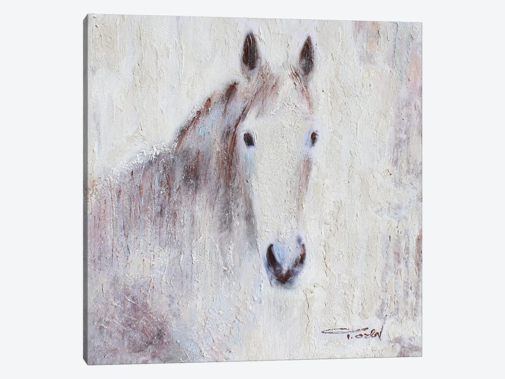White Bay Horse III by Irena Orlov 1-piece Canvas Wall Art